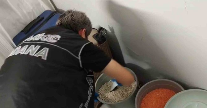 Torbacının bonzai zulası ’fasulye’ dolu kova çıktı: 6 tutuklama