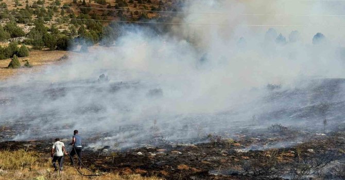 Adana Tufanbeyli’de orman yangını
