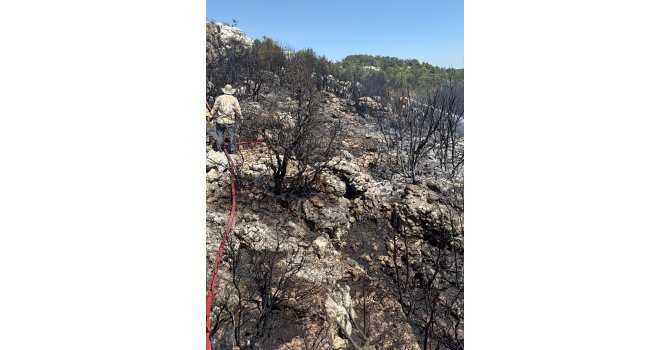 Mersin Silifke’de yangın ormanı sarmadan söndürüldü