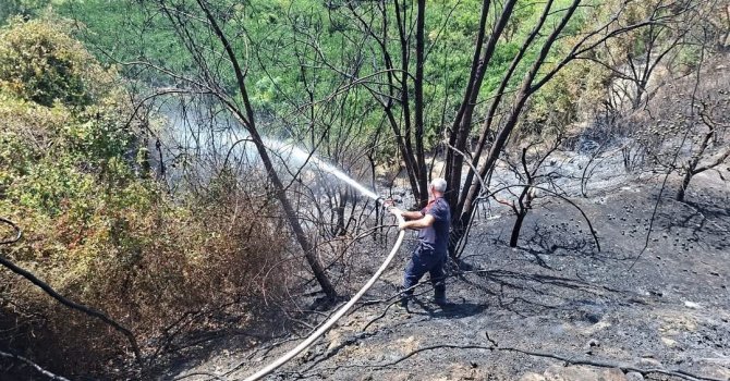 Samandağ’da bahçe yangını kısa sürede söndürüldü