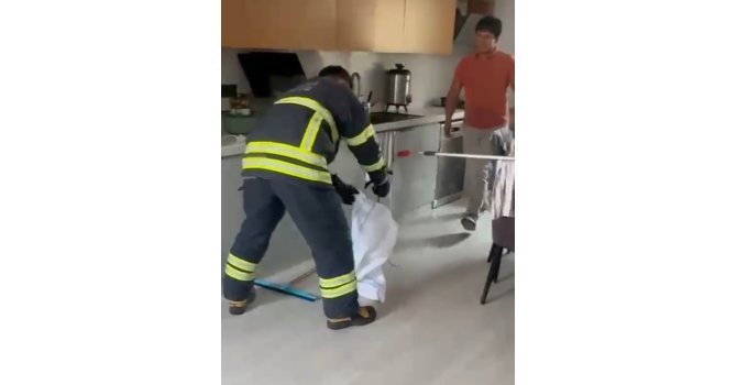 Adana’da mutfaktan çıkan yılan paniğe yol açtı