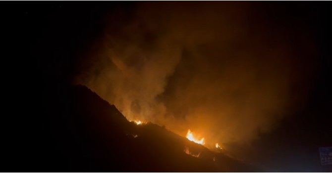 Elektrik tellerinden çıkan yangında ağaçlık alan alevlere teslim oldu