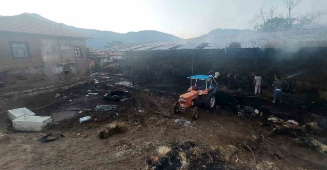 Burdur’da çıkan yangında 2 bin 500 saman balyası kül oldu