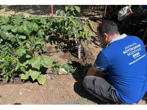 ASAT’tan usulsüz su kullanımına karşı sıkı denetim