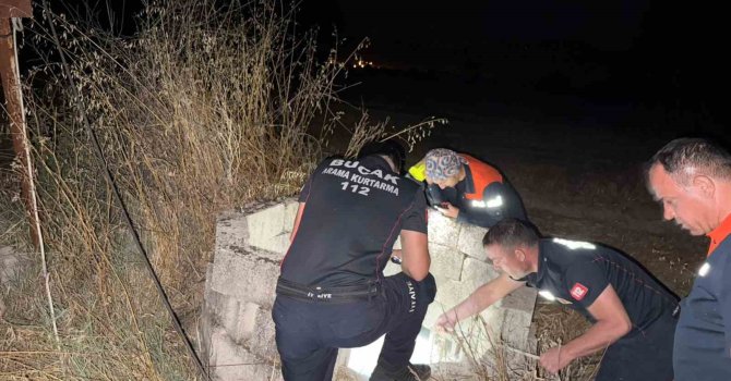 Kuyuya düşen kedi itfaiye tarafından kurtarıldı