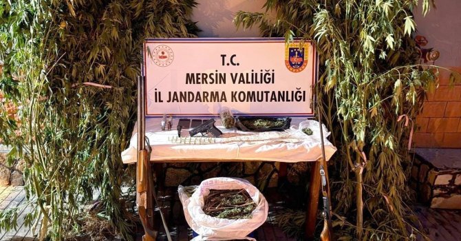 Mersin’de bahçelerine kenevir eken 3 şüpheli yakalandı