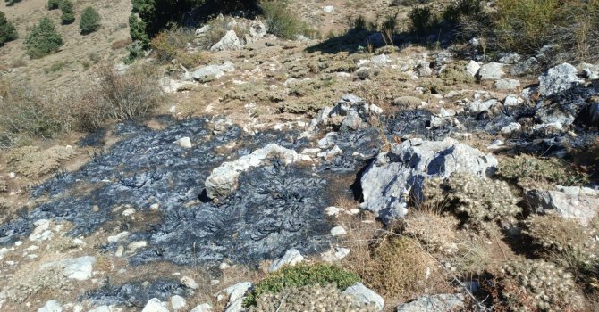 Burdur’da çalılık alanda yangın