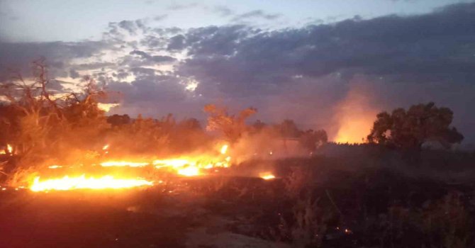 Burdur’da otluk alandaki yangın itfaiye tarafından söndürüldü