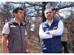 Kahramanmaraş’ta  yanan ormanlık alanlar fidanlarla buluşturulacak