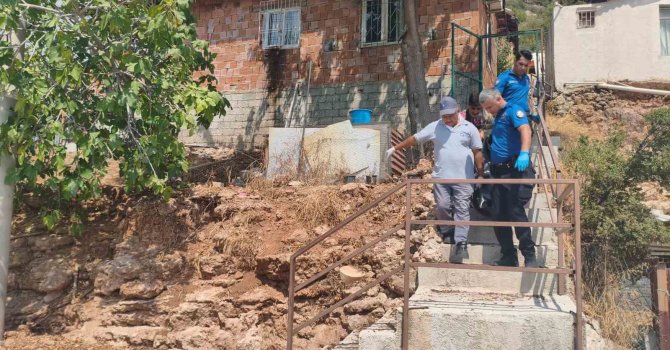 Gürültüyü devrilen kedi köpek maması zannettiler, gerçek sabah ortaya çıktı