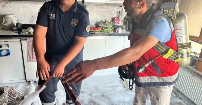 Mutfakta çıkan yangın itfaiye ekiplerince söndürüldü