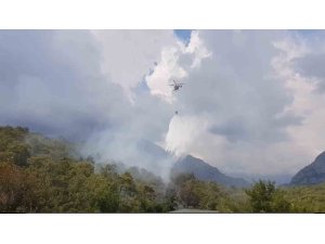 Kemer’de ormanlık alanda çıkan yangın büyümeden kontrol altına alındı