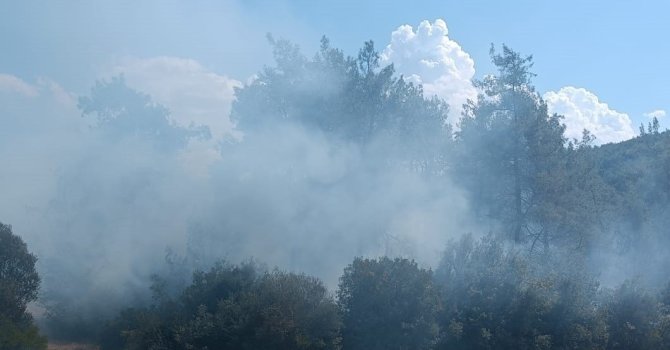 Andırın’da orman yangını büyümeden söndürüldü