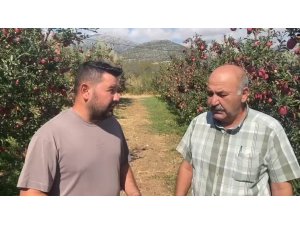 Isparta’da bir gecede 4 bin 200 ton elma doluya teslim oldu, zarar 170 milyon TL