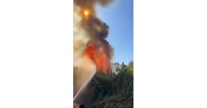 Alanya’da çalılık alanda çıkan yangında 2 sera ve 2 dönüm arazi zarar gördü