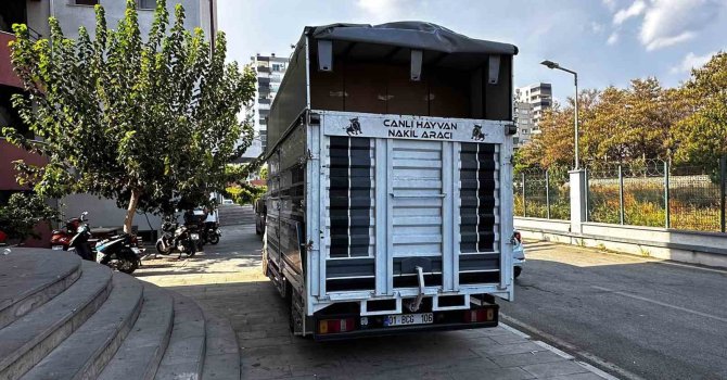 Adana’da 30 milyonluk kaçak doldurulmuş sigara ele geçirildi