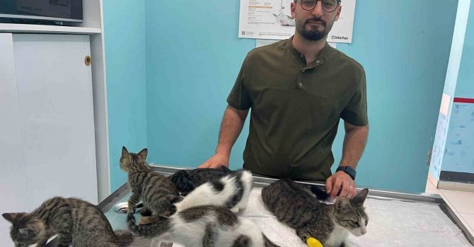 Alanya’da hayvana eziyet cezasız kalmadı