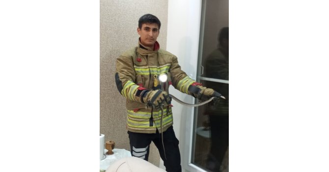 Erzin ve İskenderun’da eve giren yılanları itfaiye yakaladı