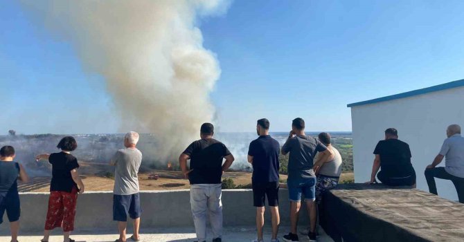 Antalya’da makilik alanda çıkan yangın zeytin ağaçlarına zarar verdi