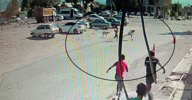 Köpeklerden kaçarken yere yığılan çocukların yardımına vatandaşlar yetişti
