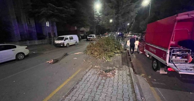 Takla atan otomobilden çıkartılan sürücünün ilk sözü: "Abi bir sigara verin de içelim"