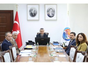 Mersin’de 53 anıt ağaç bulunuyor