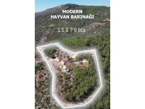 Kozan Belediyesi modern hayvan barınağı projesinde sona gelindi