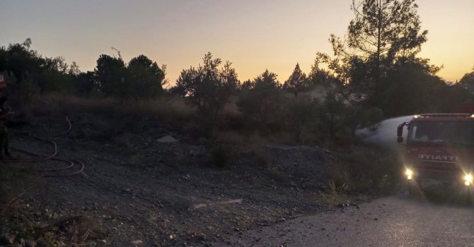 Dörtyol’da orman yangını büyümeden söndürüldü