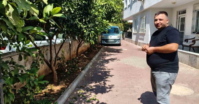 Antalya’da portakal koparma kavgası