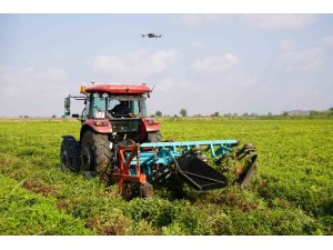 Türkiye’nin yer fıstığı üretim merkezi Osmaniye’de, bu yıl 52 bin ton rekolte bekleniyor