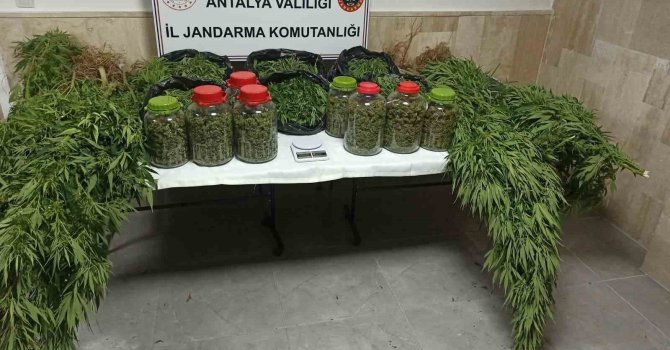 Antalya’da 43 kilo uyuşturucu madde ele geçirildi