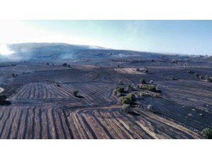 Uzmanı uyardı: "Orman yangınlarına karşı topraktaki nem kapasitesini arttırmalıyız"