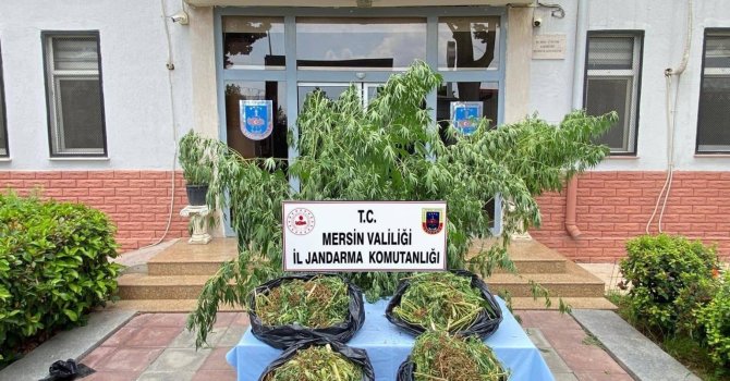 Mersin’de zehir tacirlerine darbe