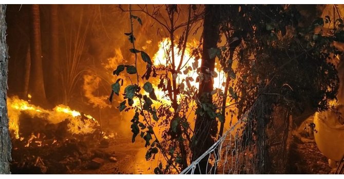 Antalya’da yerleşim alanına yakın sazlık alanda yangın paniği