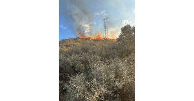 Samandağ’da arazi yangını