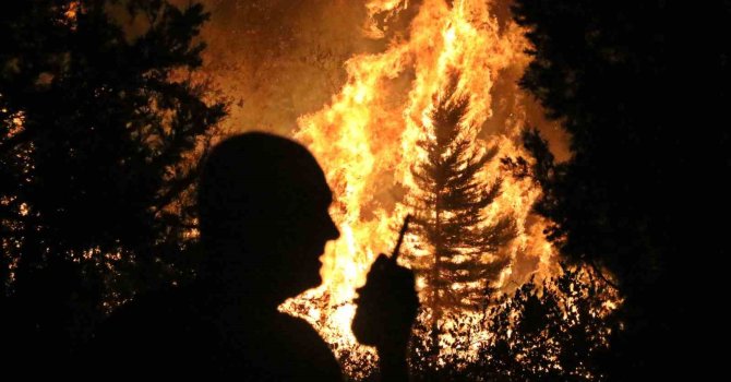 Antalya, bir gecede 2 ilçedeki 5 ayrı noktada yangınla mücadele etti