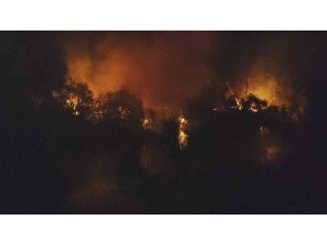 Manavgat’ta ırmak kenarındaki yangın korkuttu