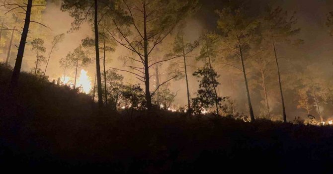 Alanya’da ormanlık alandaki yangın