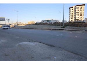 Ahırdan kaçan buzağı, kara yoluna çıkınca sürücülere zor anlar yaşattı