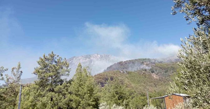 Alanya’da ormanlık alan yangınları kontrol altına alınmaya çalışılıyor