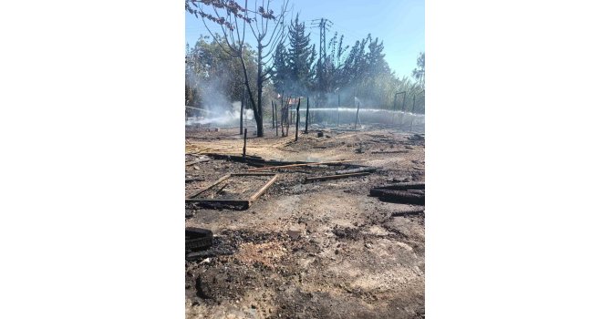 Adana’da tarım işçilerinin kaldığı 4 çadır yandı