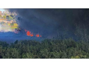 Adana’da geri dönüşüm fabrikasında yangın çıktı