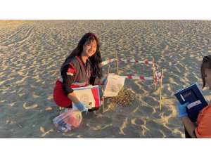 Kum zambaklarını koparanın cezası: 557 bin TL