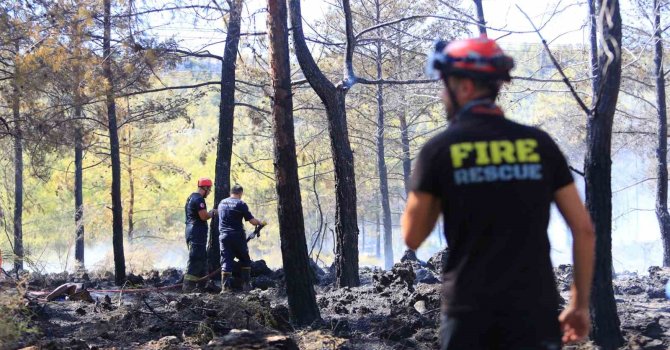 Antalya’da ormanlık alandaki yangın büyümeden söndürüldü: Kova ve küreklerle müdahale ettiler