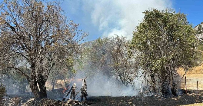 Akseki’de otluk yangın büyümeden söndürüldü