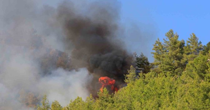 Serik’te orman yangınının enerjisi düşürüldü