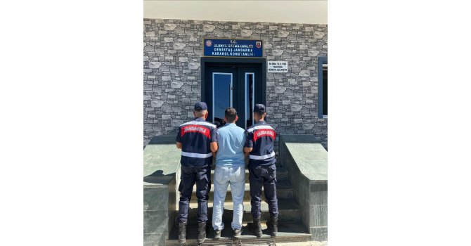 Alanya’da orman yangınlarıyla ilgili asılsız paylaşım yapan şahıs serbest bırakıldı