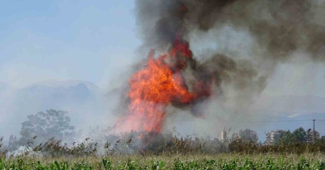 Antalya’da kargılık alanda yangın