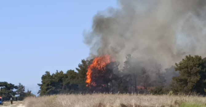 Manavgat’ta arazide başlayan yangın ormanlık alana sıçradı