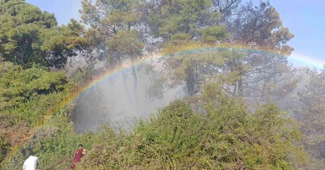 Orman yangınında uçaktan atılan su gökkuşağı oluşturdu
